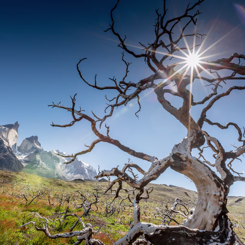 Roteiro-02-Patagonia-Experience-Skorpios-Experience-Torres-del-Paine-17